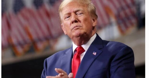 image-image_750x_6912ef0e33961