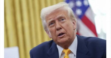 image-image_750x_69182b8d53ed5