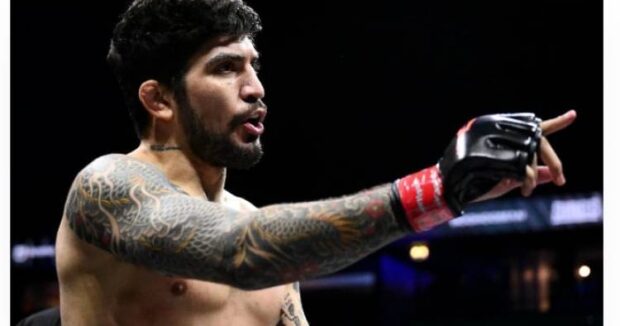 image-image_750x_691aec9986efd