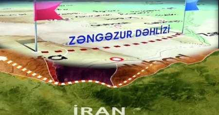 image-kibzzj1rrsrb6al5dq8c
