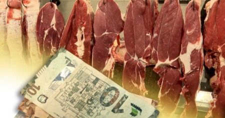 image-11fa4523f48544bb249a44a4f42a5d41