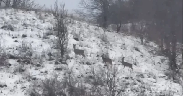 image-image_750x_696ddbcdc6700-750-1080-resize