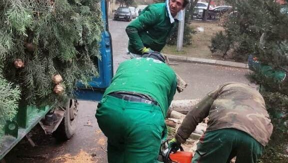 image-img-20260102-wa0016