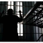 image-image_750x_699d595d2fe94-1