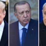 image-1773038178_ww2efczl_large