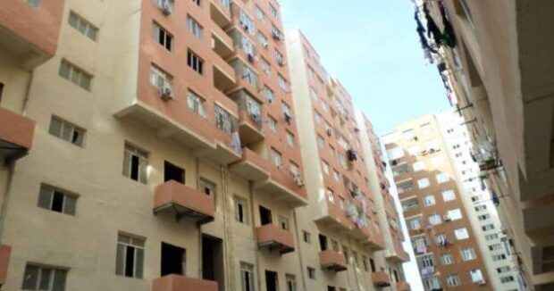 image-271976jpg-1774853489