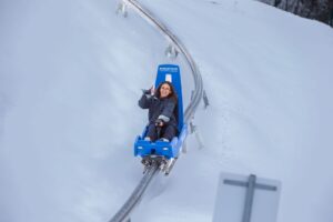 image-img-20260312-wa0121