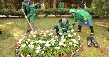 image-img-20260314-wa0032