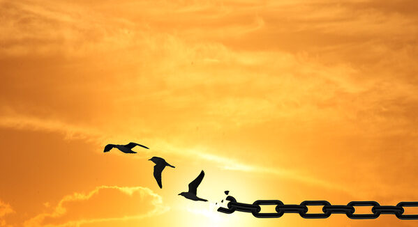 image-concept-of-freedom-by-birds-and-chain-broken-chains-transformin