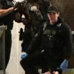 image-143ca5edc0f86984782bdd45d9712e38