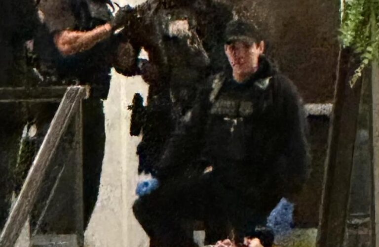 image-143ca5edc0f86984782bdd45d9712e38