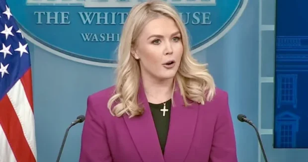 image-image_750x_69d5fa1482e13-750-1080-resize