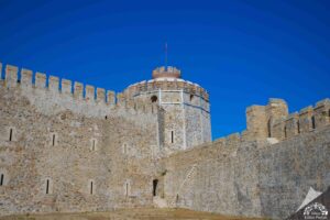 image-img-20260424-wa0034