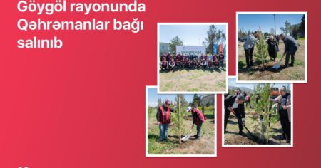 image-img-20260424-wa0054