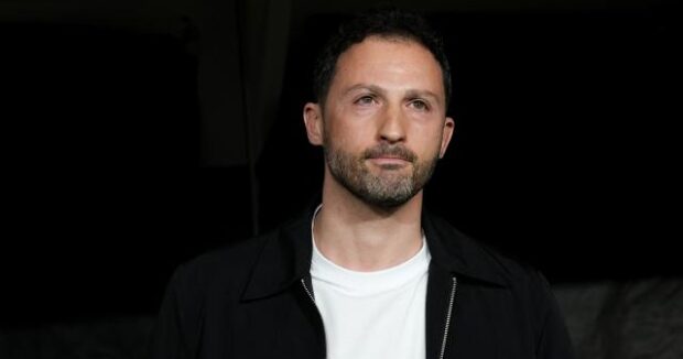 image-tedescoaa-2456920_2