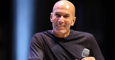 image-zidan