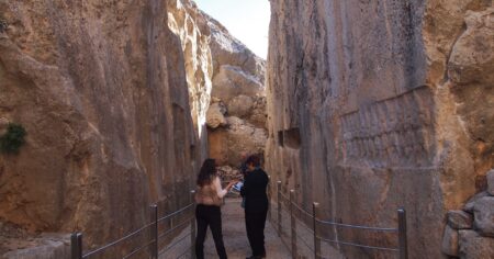 image-img-20260828-wa0016