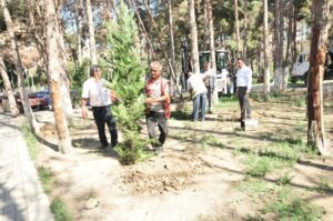 image-img-20260914-wa0122