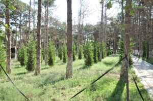image-img-20260914-wa0126